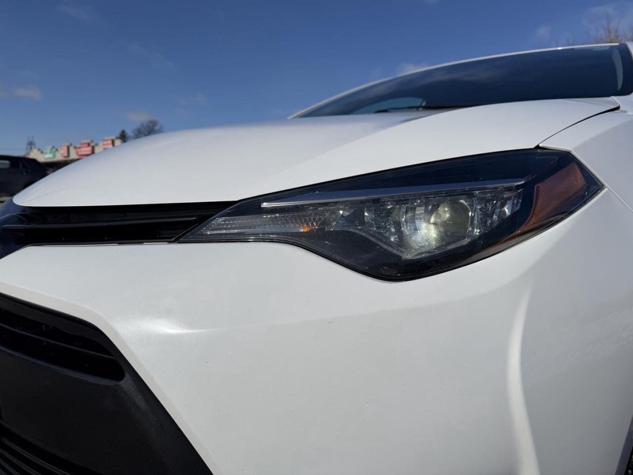 2019 Toyota Corolla LE CVT Photo