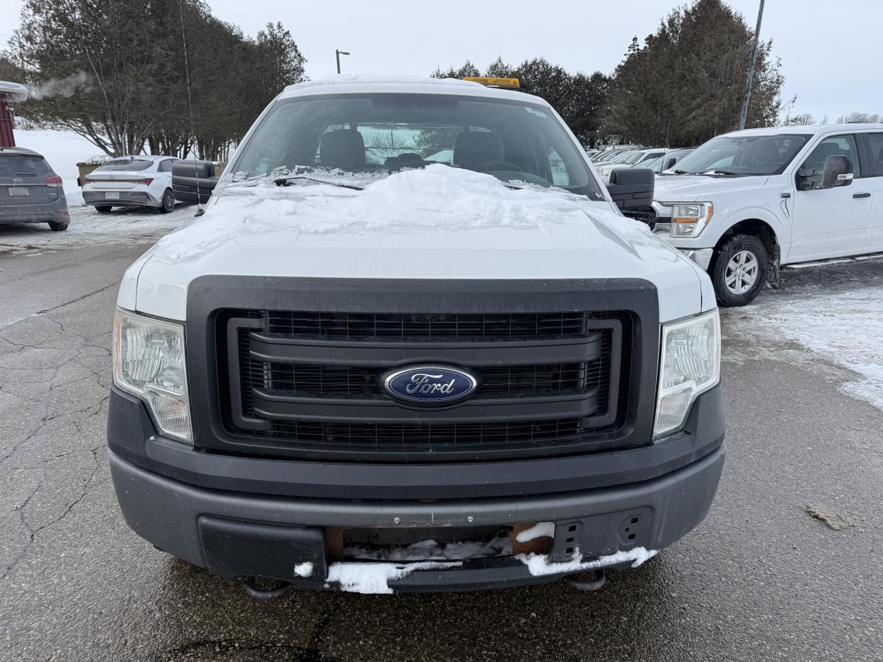 2014 Ford F-150 XL Photo