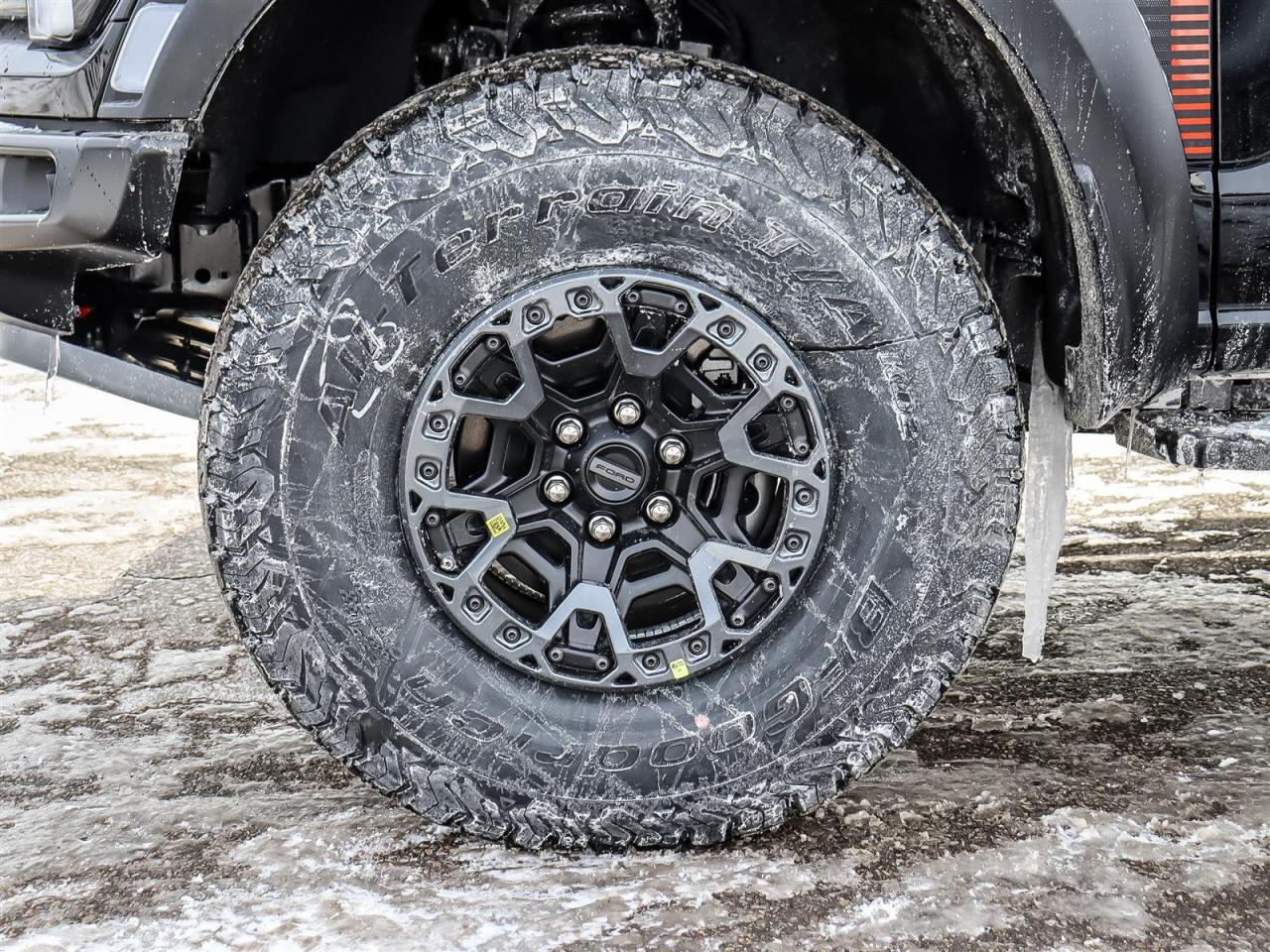 2026 Ford F-150 RAPTOR Photo