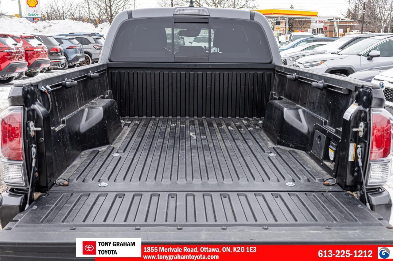 2021 Toyota Tacoma  Photo