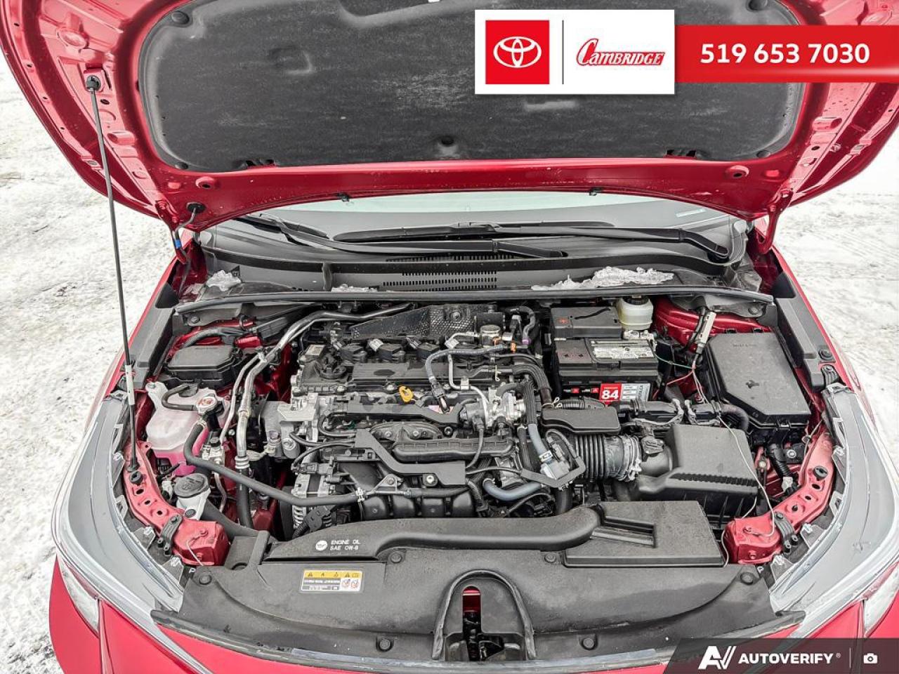 2024 Toyota Corolla Hatchback Photo