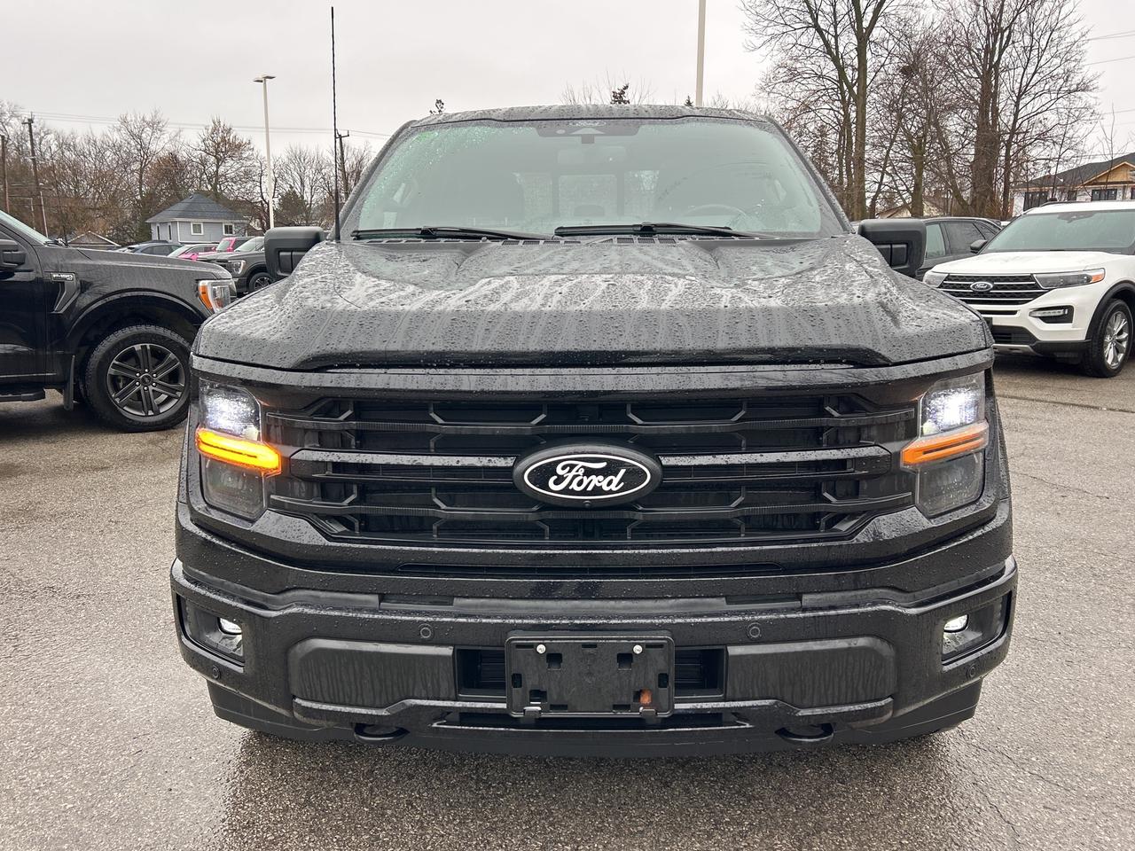 2024 Ford F-150 XLT 4WD SuperCrew 5.5' Box Photo4