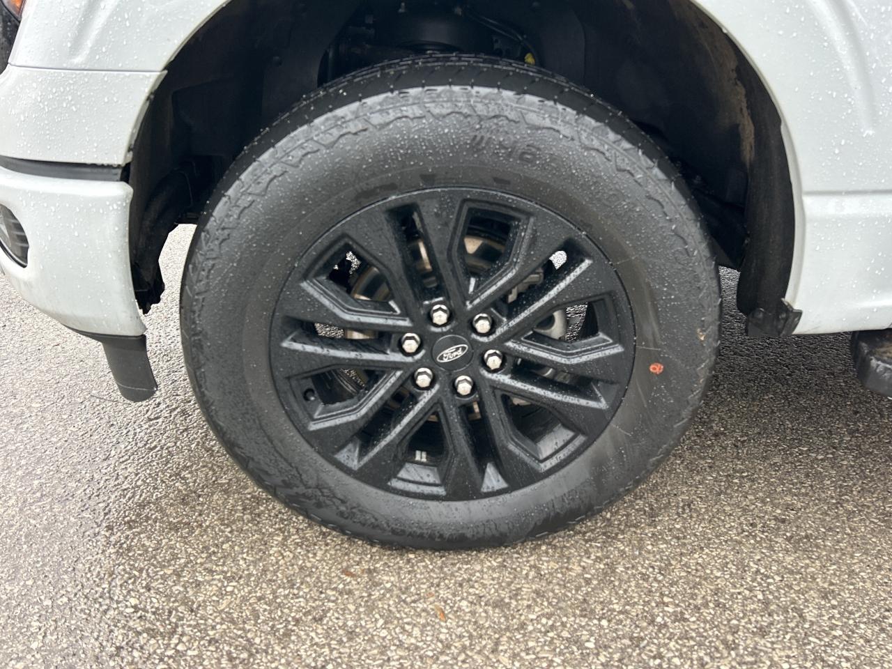 2024 Ford F-150 XLT 4WD SuperCrew 5.5' Box Photo