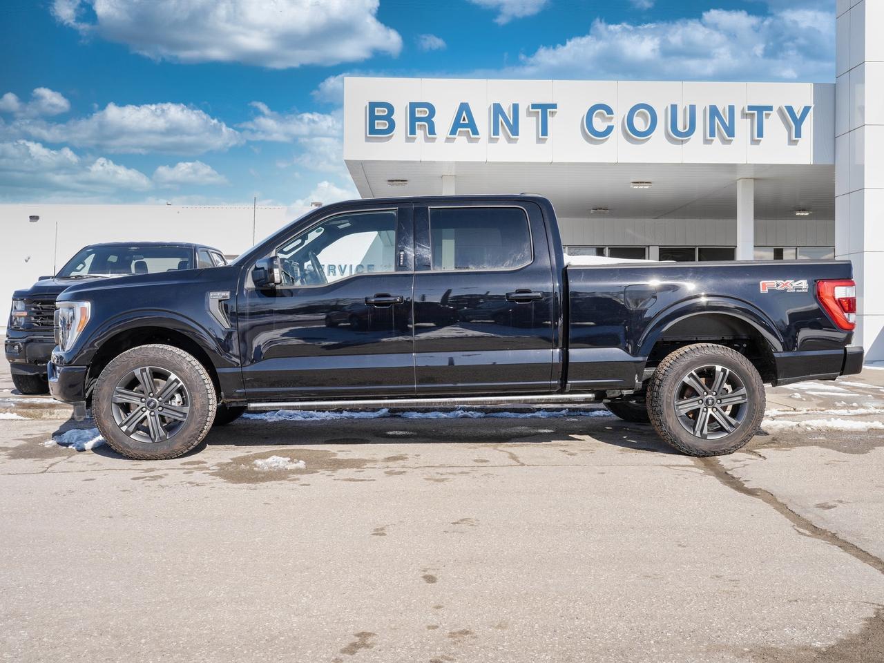 2023 Ford F-150 SUPER CREW | LEATHER | LOW KM | V8! Photo3