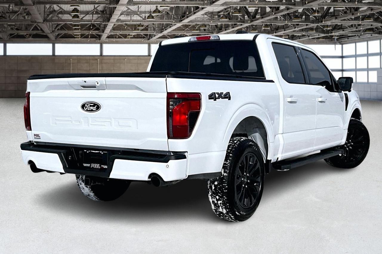 2025 Ford F-150 XLT Black Appearance Pkg Plus | 303A Group | 4X4 Photo