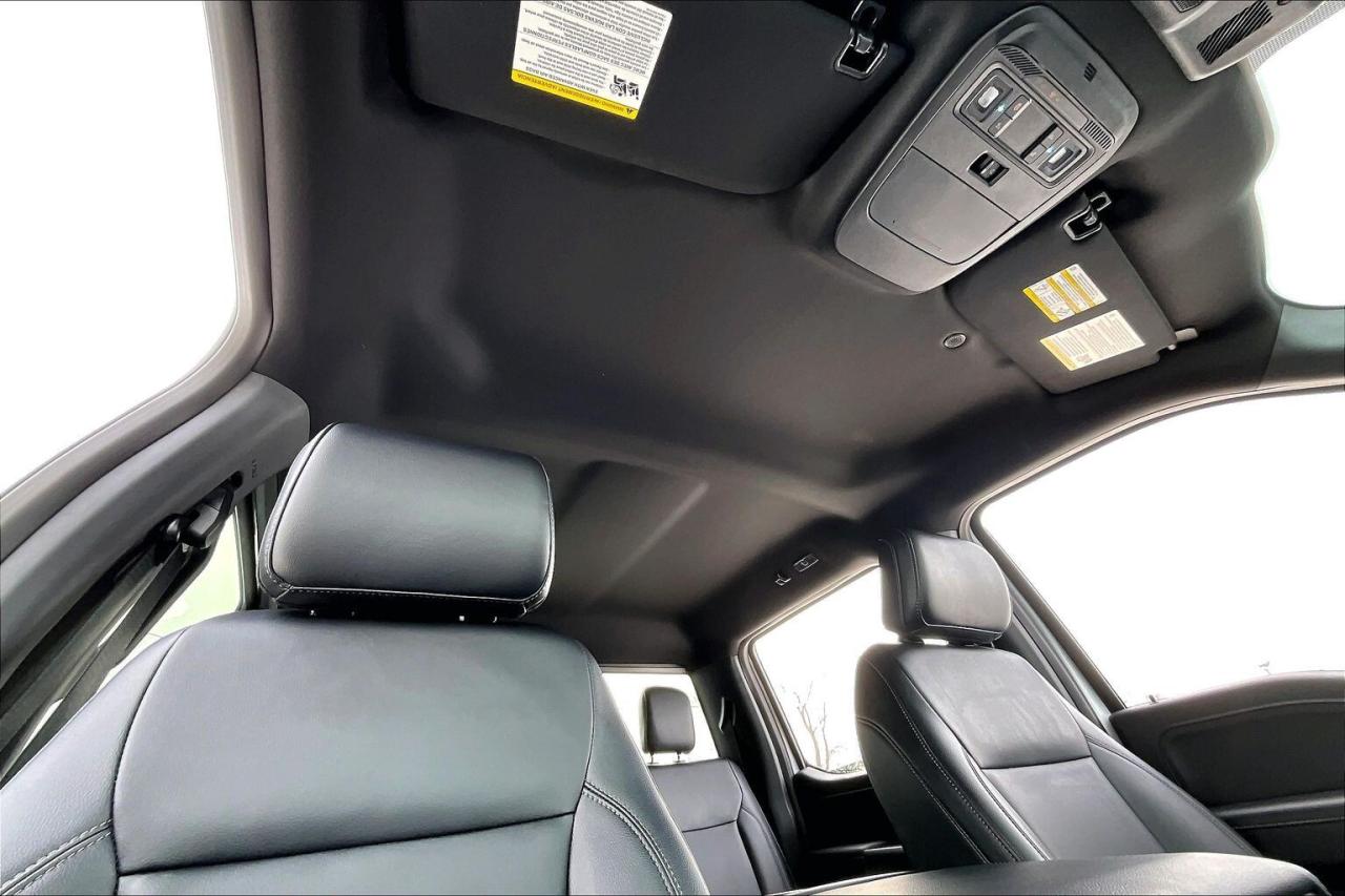 2025 Ford F-150 XLT Black Appearance Pkg Plus | 303A Group | 4X4 Photo