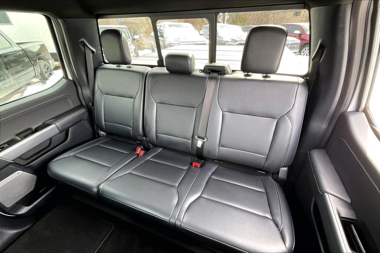 2025 Ford F-150 XLT Black Appearance Pkg Plus | 303A Group | 4X4 Photo