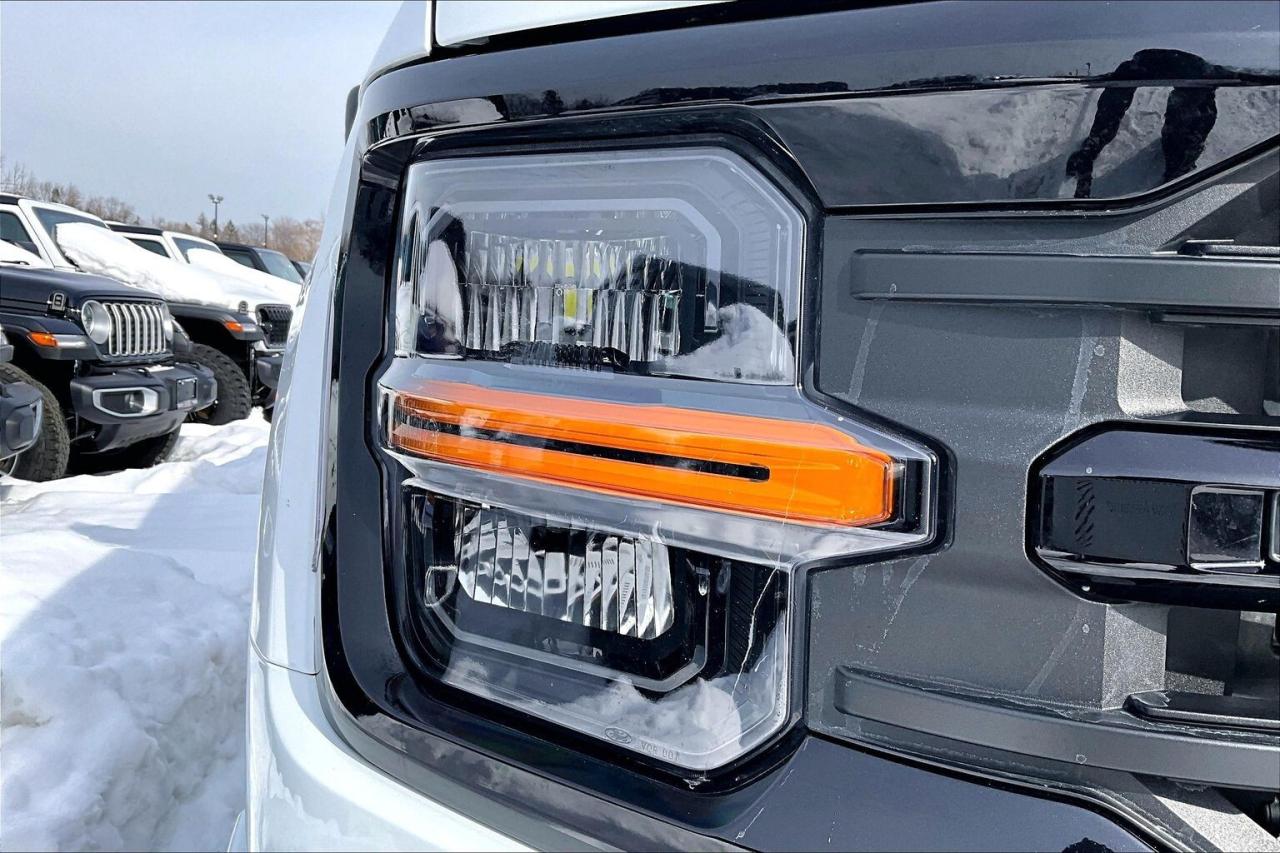 2025 Ford F-150 XLT Black Appearance Pkg Plus | 303A Group | 4X4 Photo