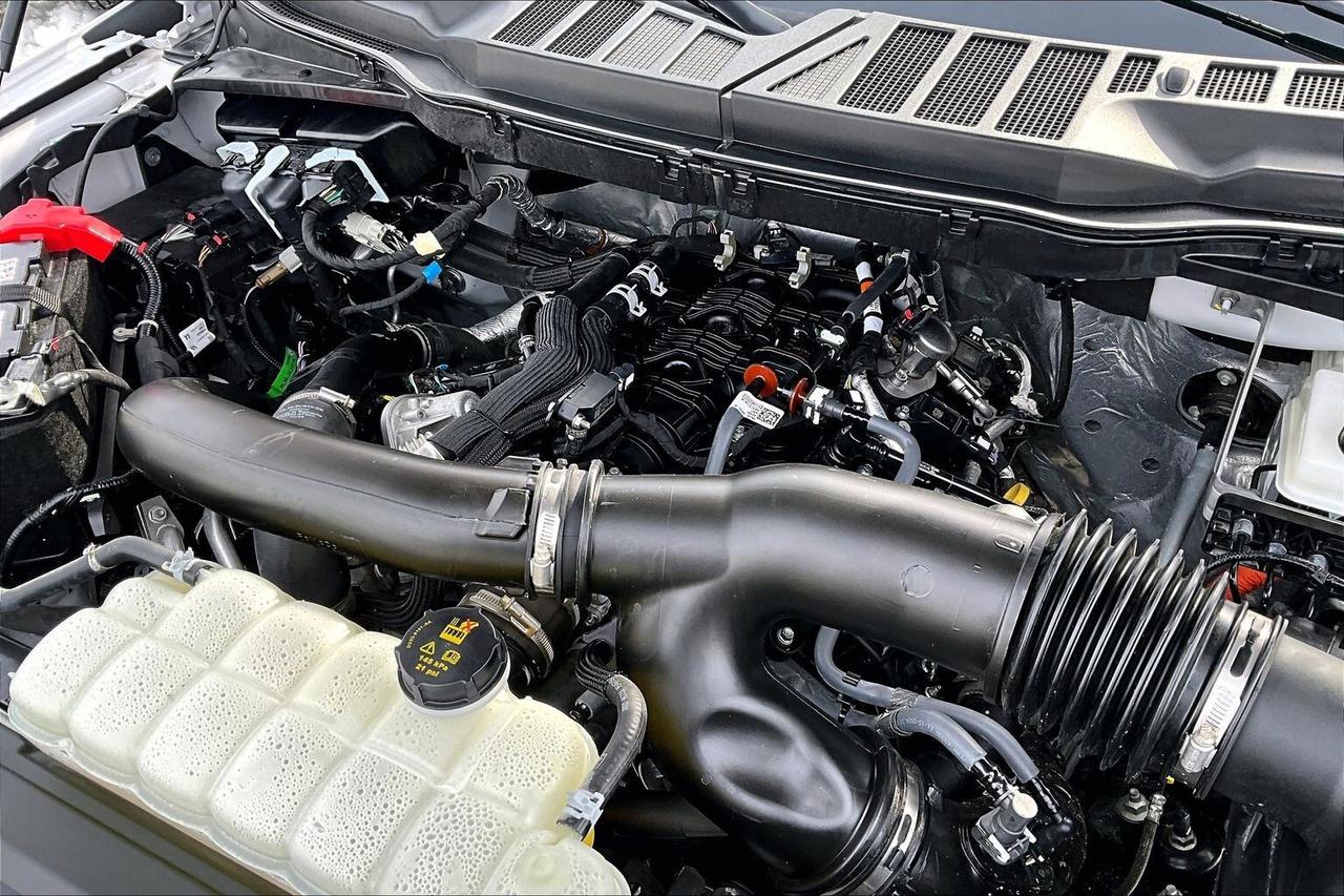 2025 Ford F-150 XLT Black Appearance Pkg Plus | 303A Group | 4X4 Photo
