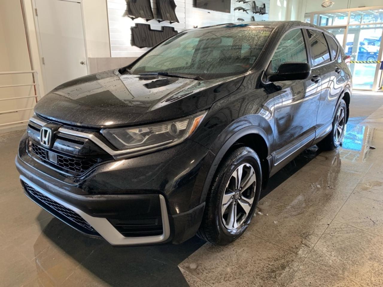 2021 Honda CR-V LX 4WD Photo