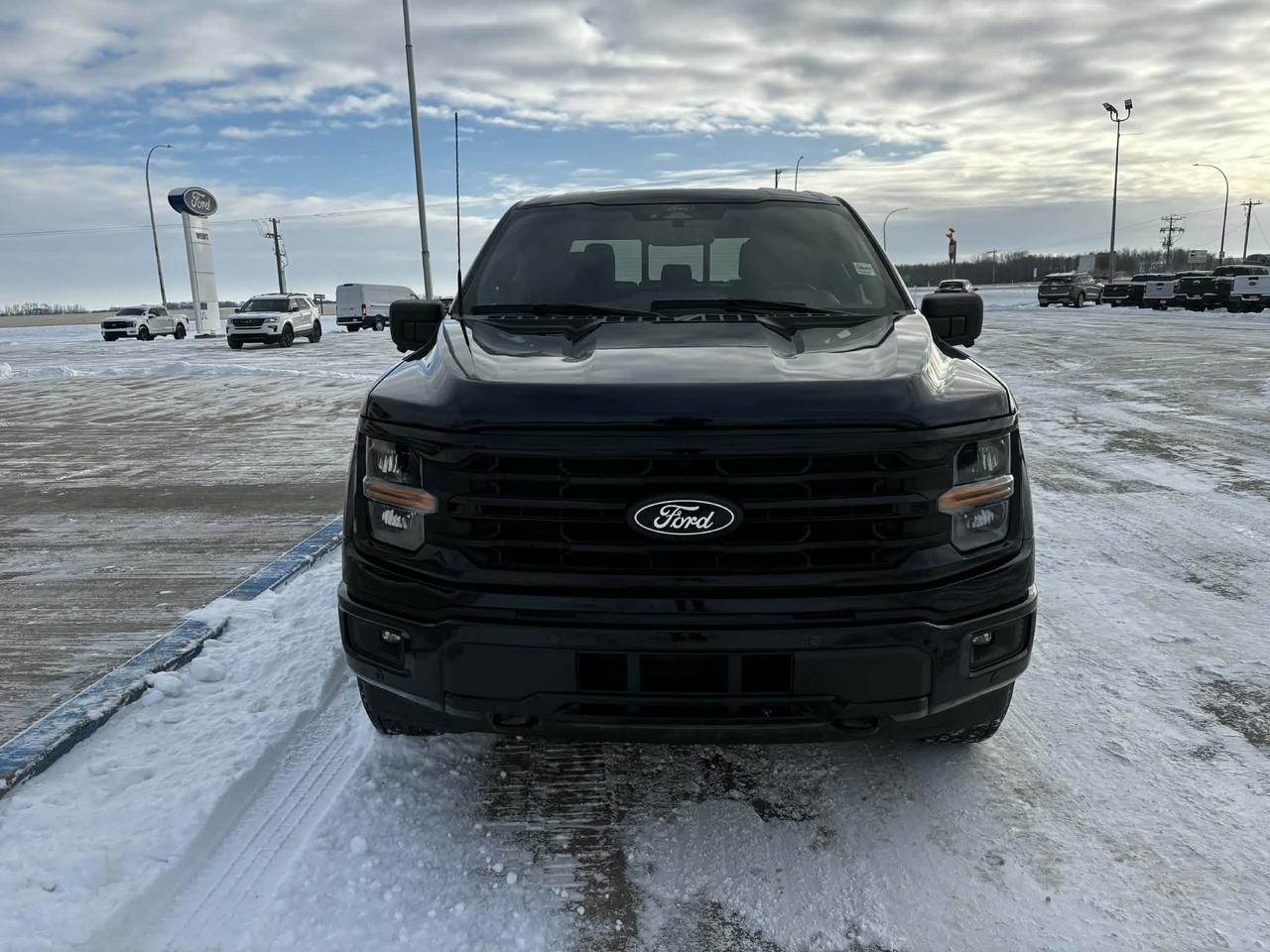 2024 Ford F-150 XLT 4WD SuperCrew 5.5' Box Photo1