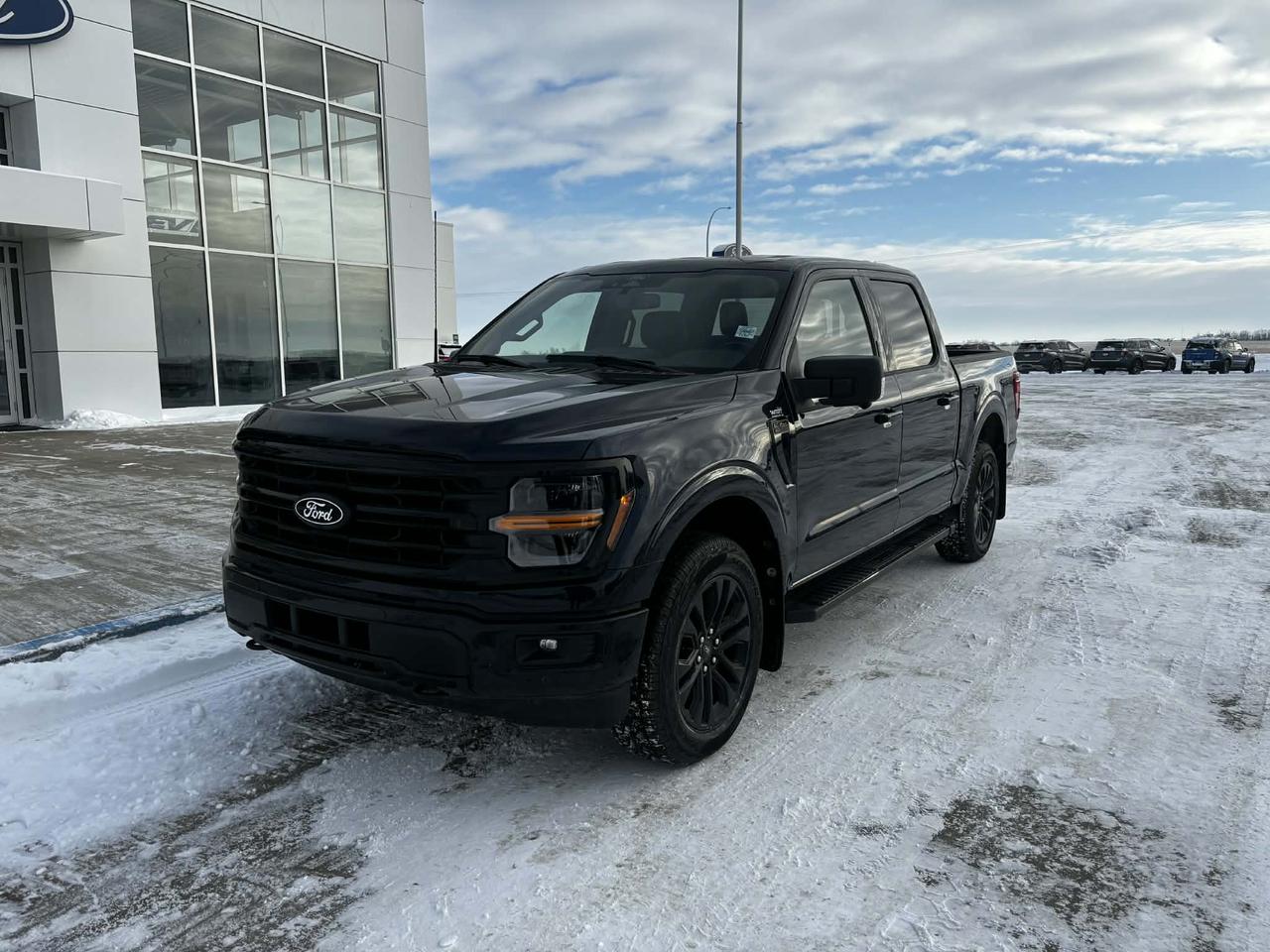 Used 2024 Ford F-150 XLT 4WD SuperCrew 5.5' Box for sale in Wainwright, AB