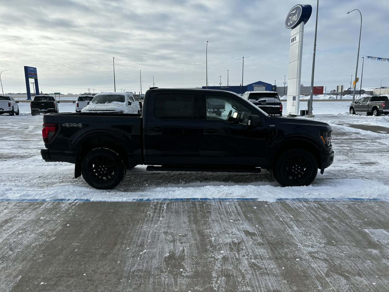 2024 Ford F-150 XLT 4WD SuperCrew 5.5' Box Photo4