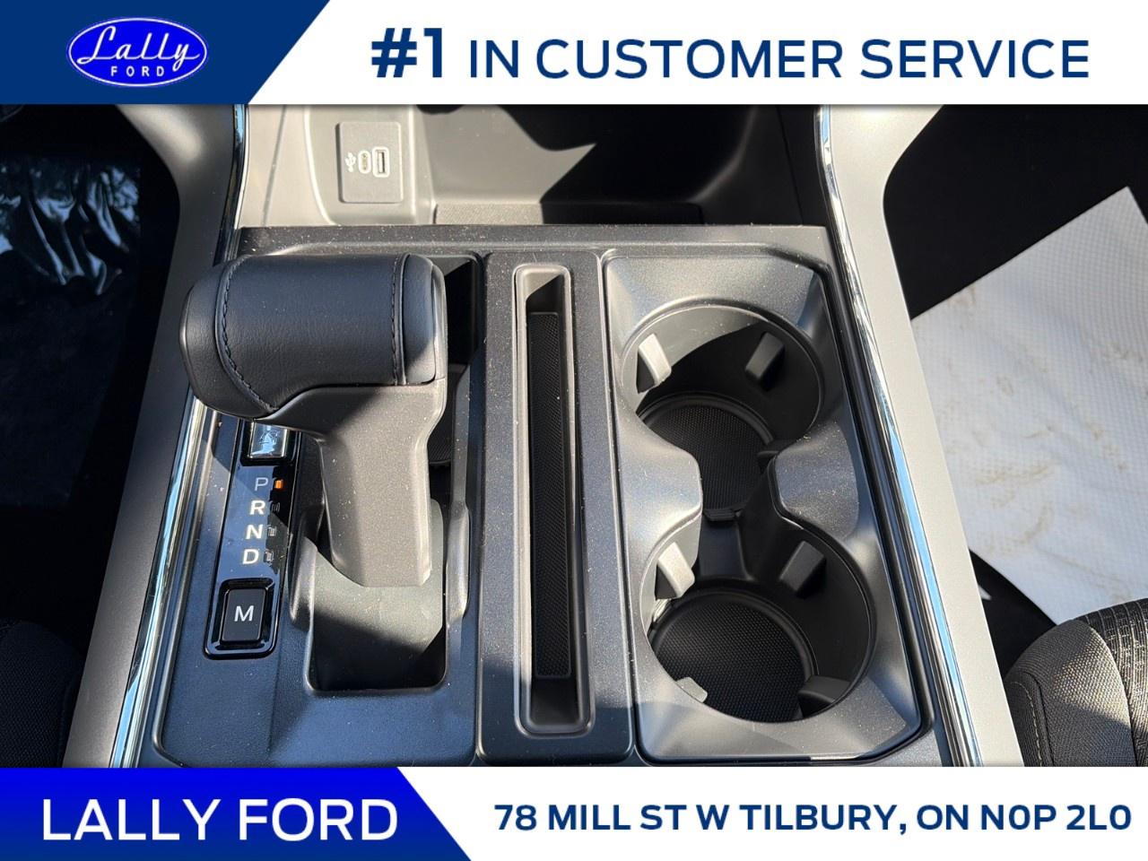 2026 Ford F-150 XLT 4WD SuperCrew 5.5' Box Photo