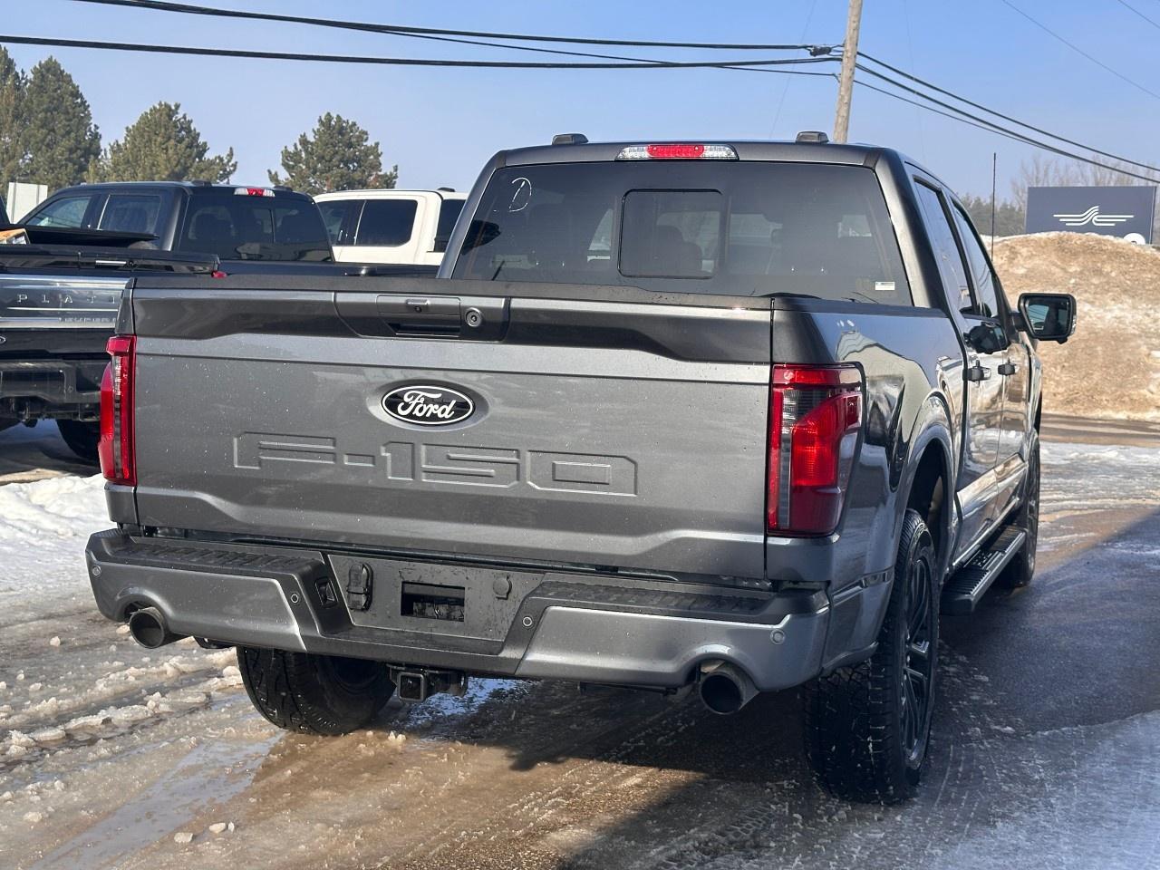 2026 Ford F-150 XLT 4WD SuperCrew 5.5' Box Photo