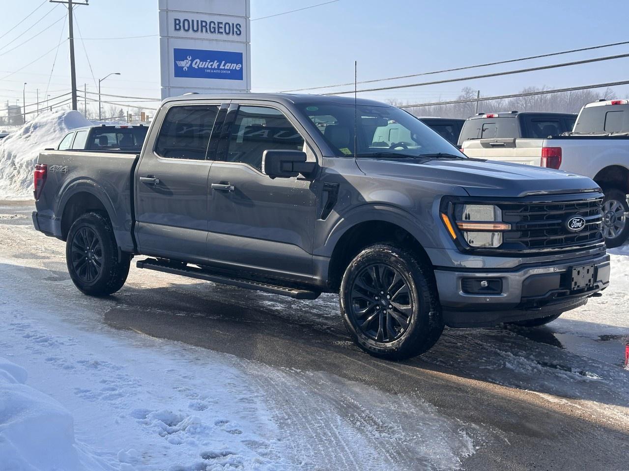 2026 Ford F-150 XLT 4WD SuperCrew 5.5' Box Photo
