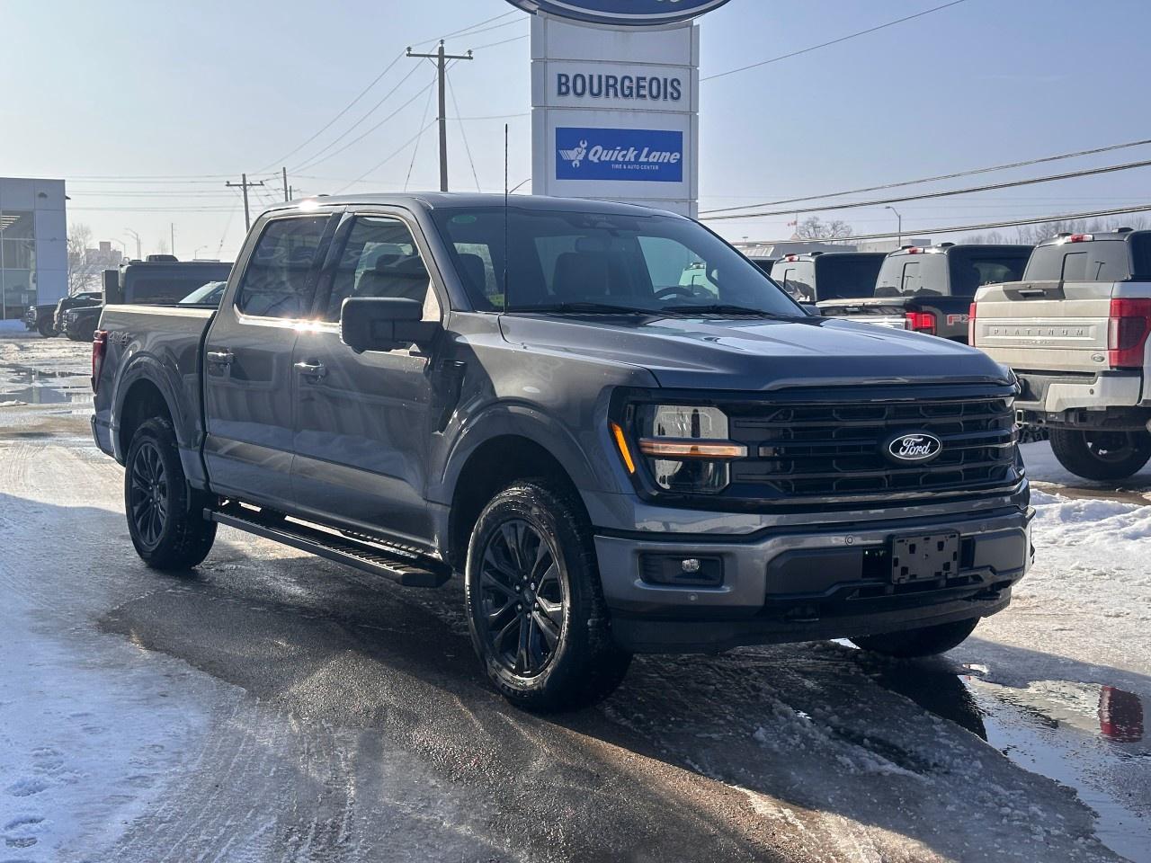 2026 Ford F-150 XLT 4WD SuperCrew 5.5' Box Photo3