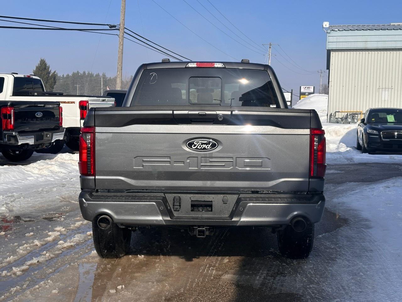 2026 Ford F-150 XLT 4WD SuperCrew 5.5' Box Photo
