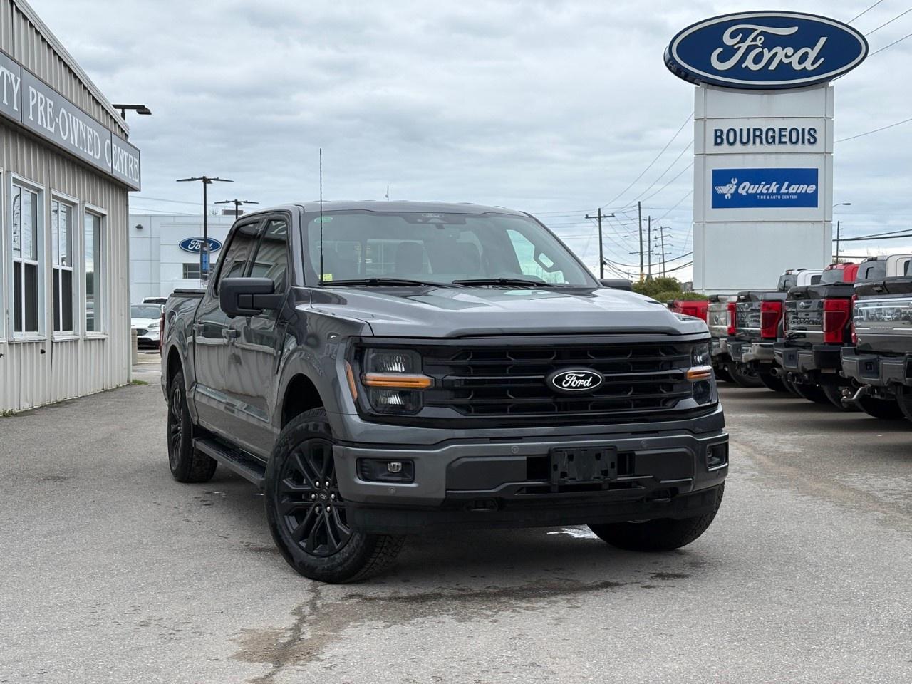 2026 Ford F-150 XLT 4WD SuperCrew 5.5' Box Photo