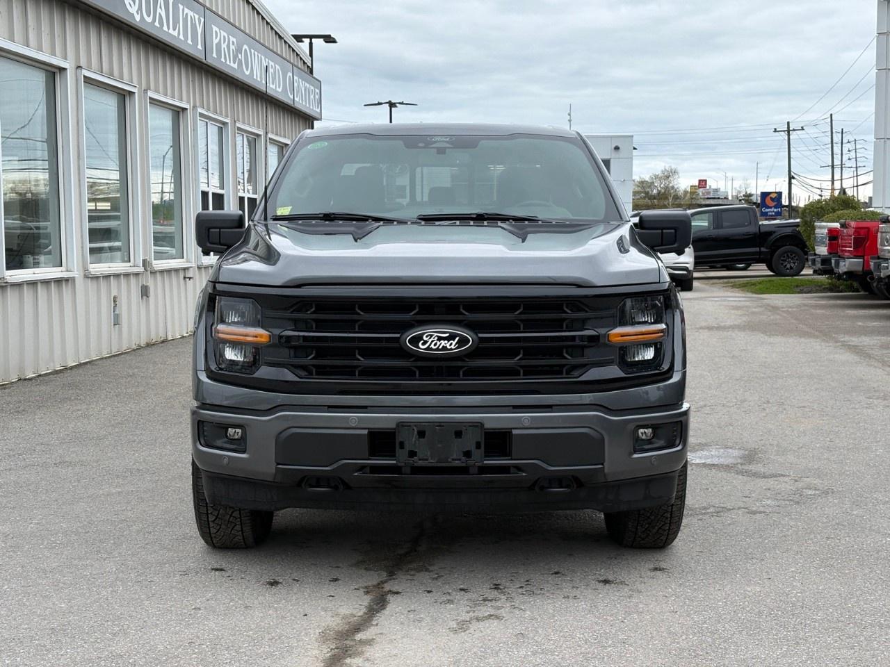 2026 Ford F-150 XLT 4WD SuperCrew 5.5' Box Photo