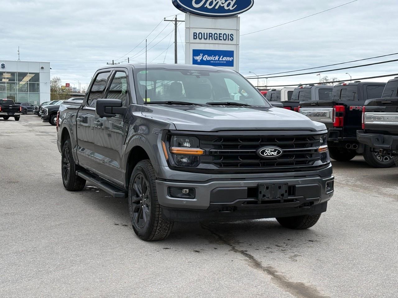 2026 Ford F-150 XLT 4WD SuperCrew 5.5' Box Photo