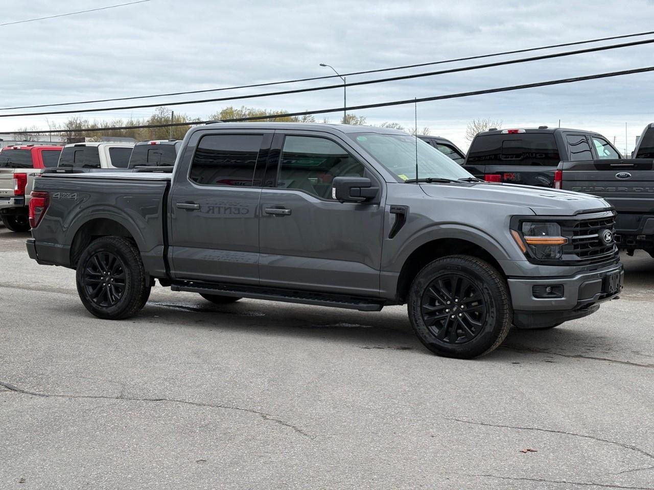 2026 Ford F-150 XLT 4WD SuperCrew 5.5' Box Photo4