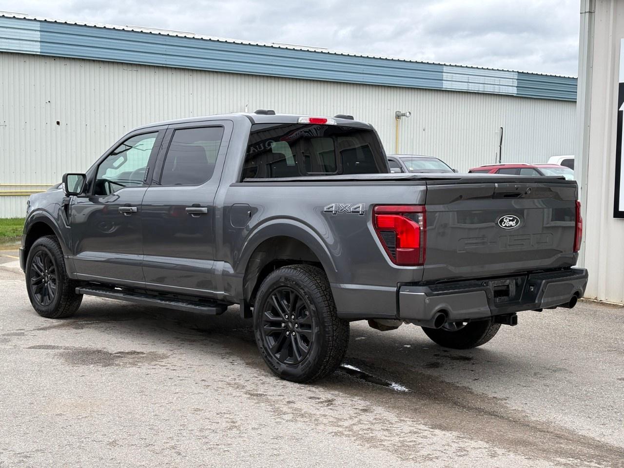 2026 Ford F-150 XLT 4WD SuperCrew 5.5' Box Photo