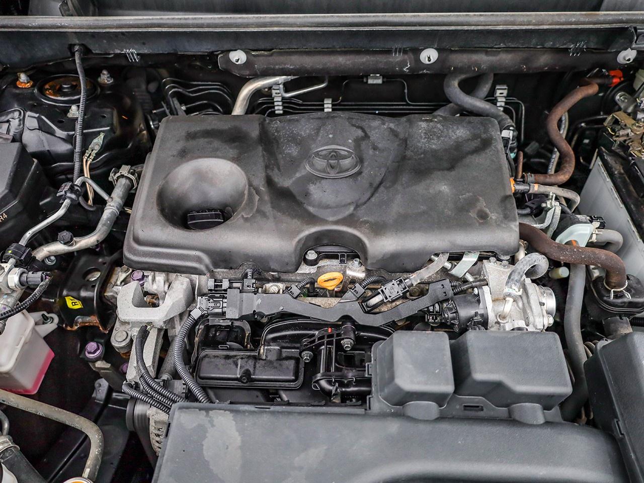 2022 Toyota RAV4 LE Photo