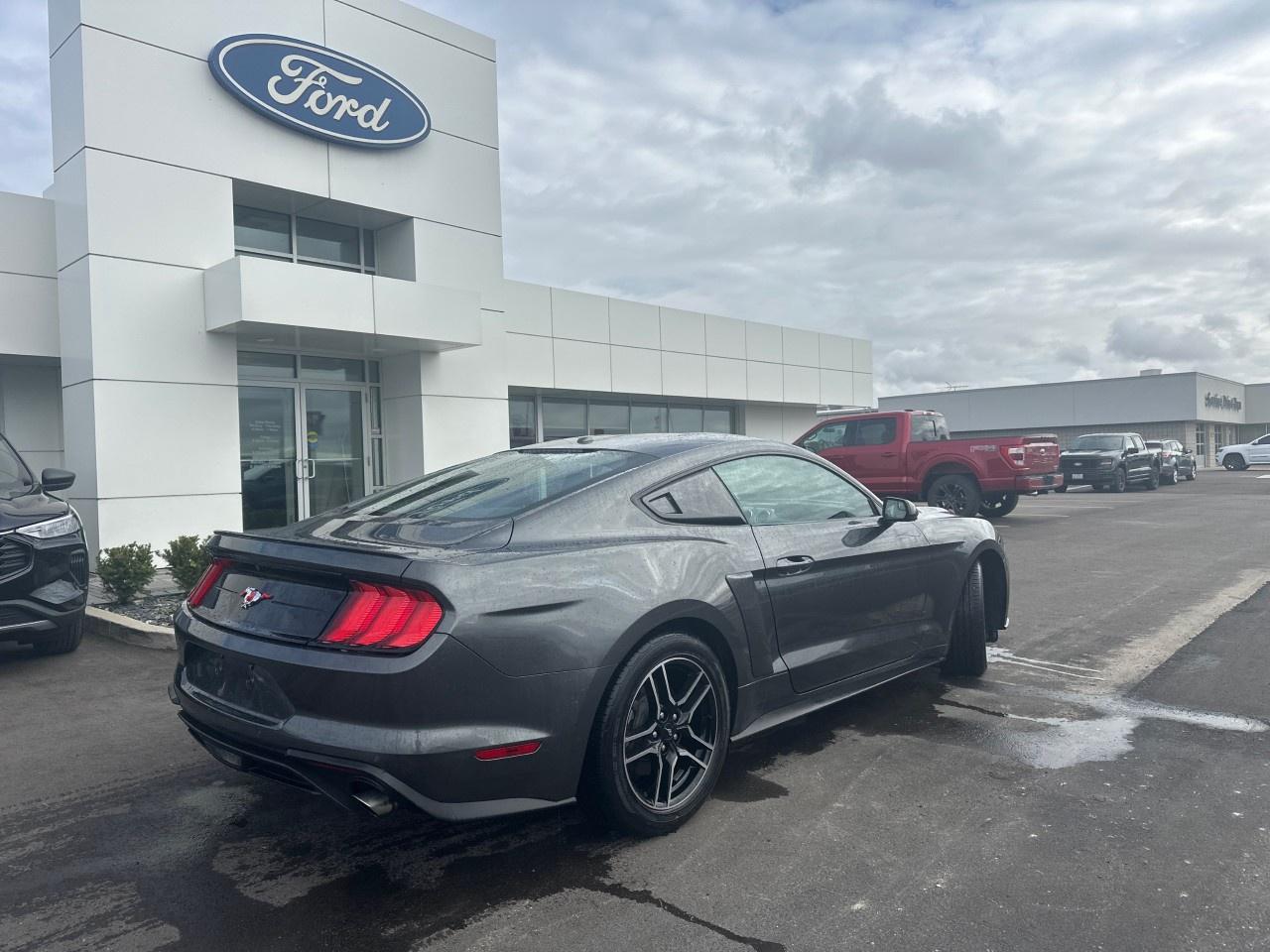 2020 Ford Mustang EcoBoost Fastback Photo