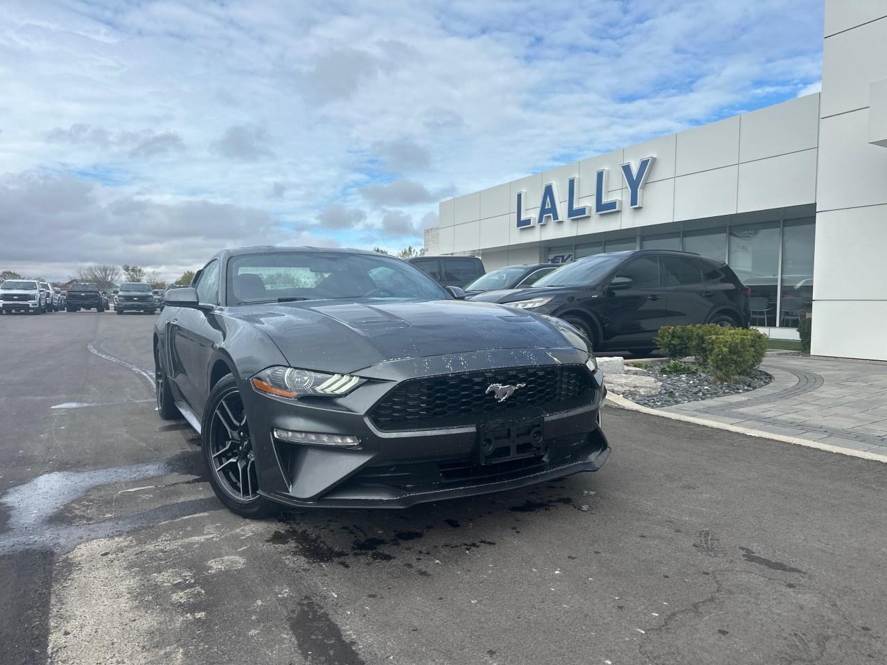 2020 Ford Mustang EcoBoost Fastback Photo