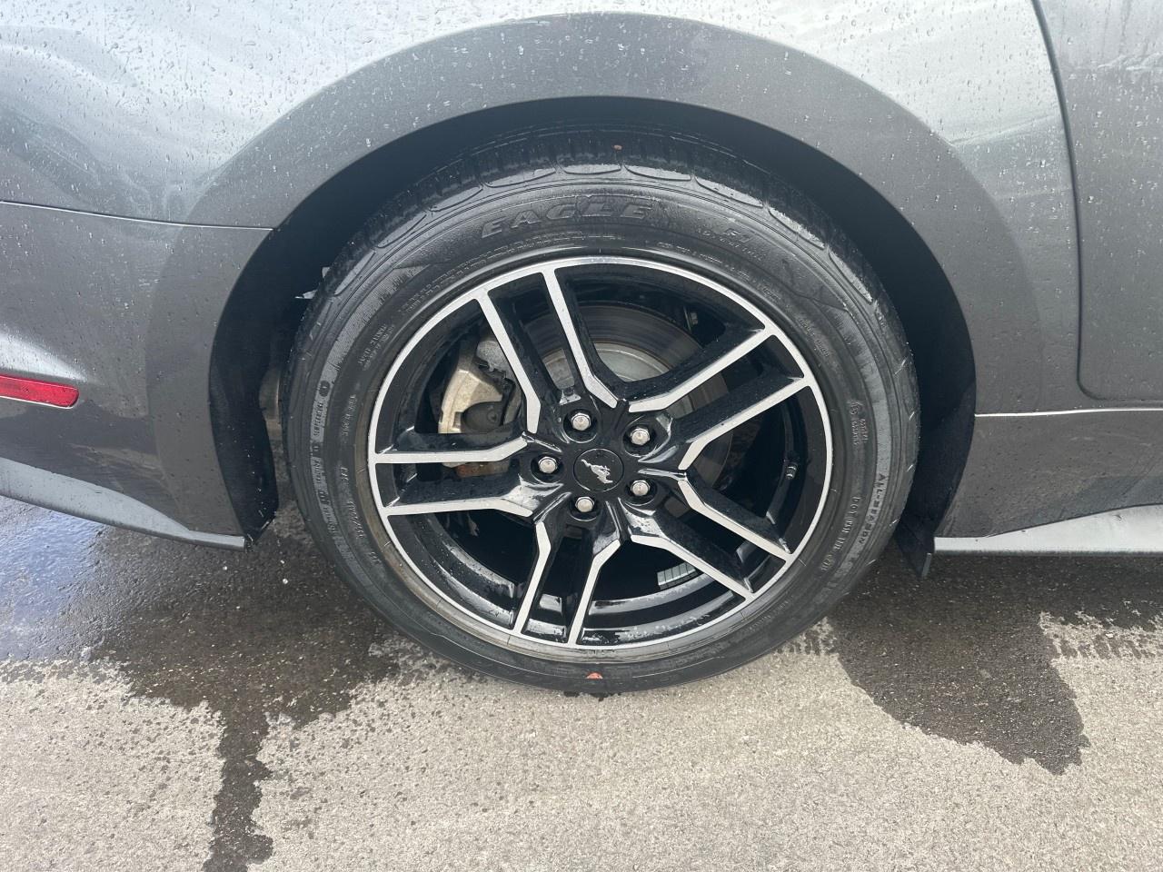 2020 Ford Mustang EcoBoost Fastback Photo3