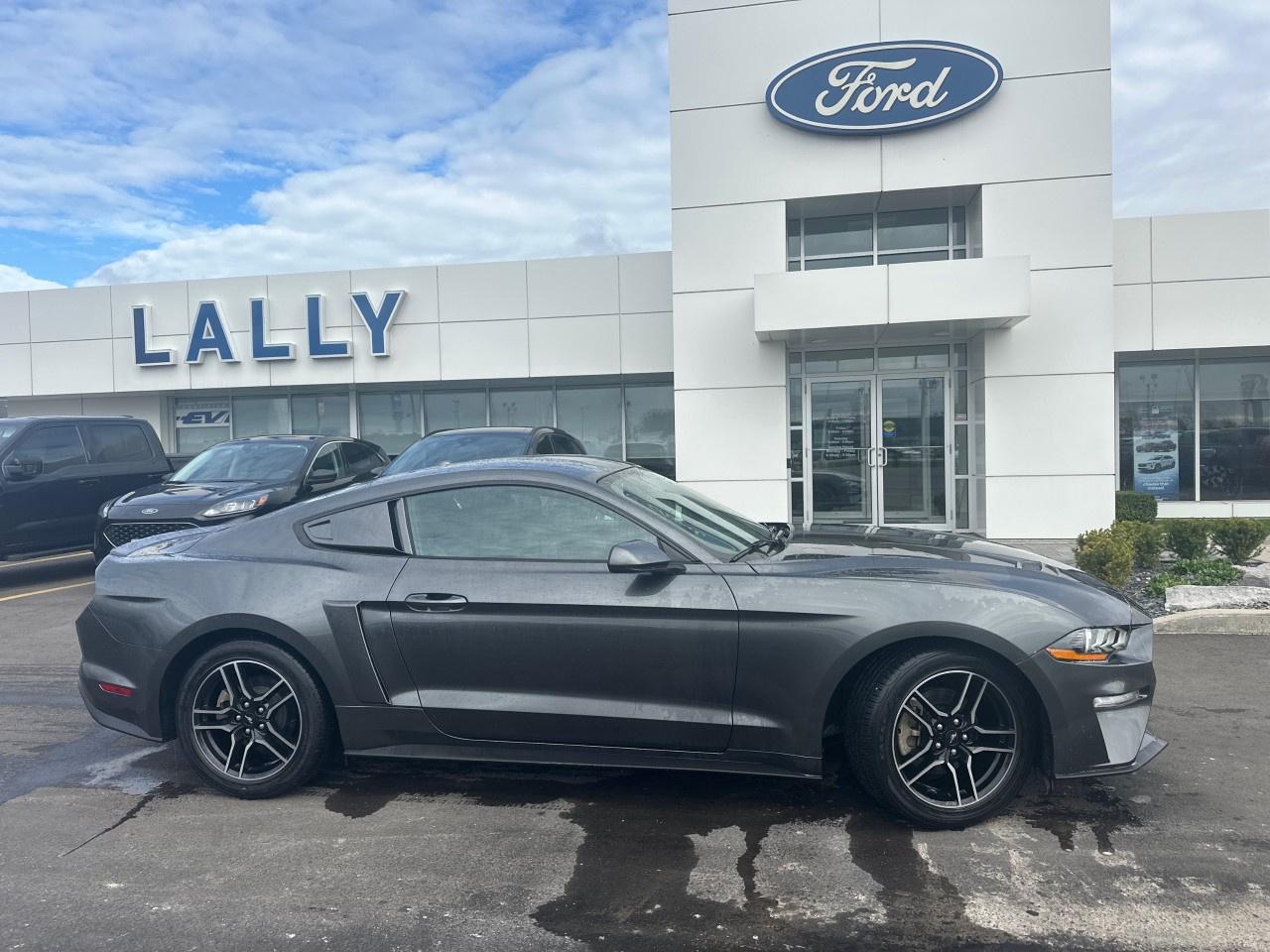 2020 Ford Mustang EcoBoost Fastback Photo