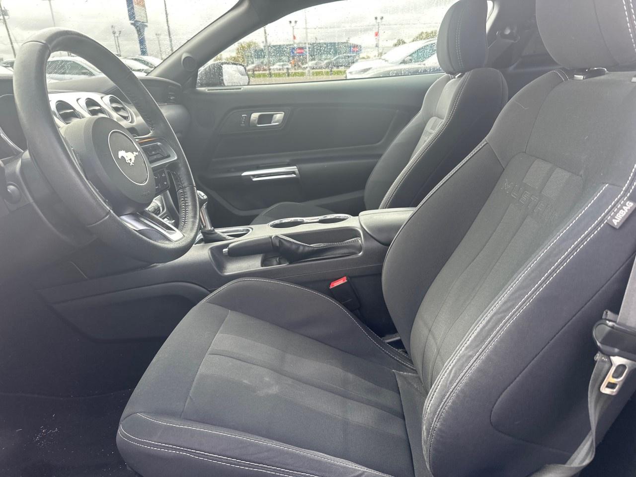 2020 Ford Mustang EcoBoost Fastback Photo