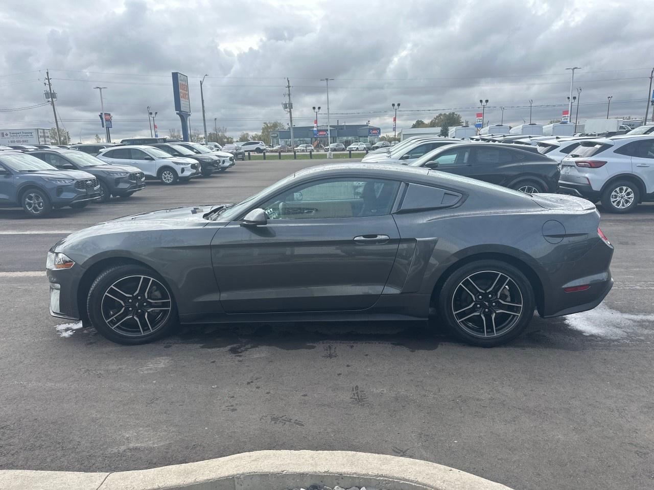 2020 Ford Mustang EcoBoost Fastback Photo