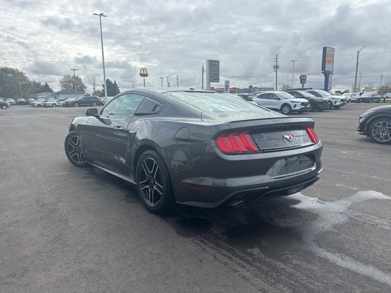 2020 Ford Mustang EcoBoost Fastback Photo