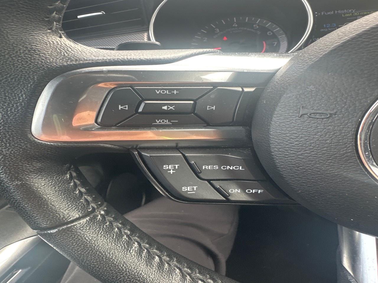 2020 Ford Mustang EcoBoost Fastback Photo