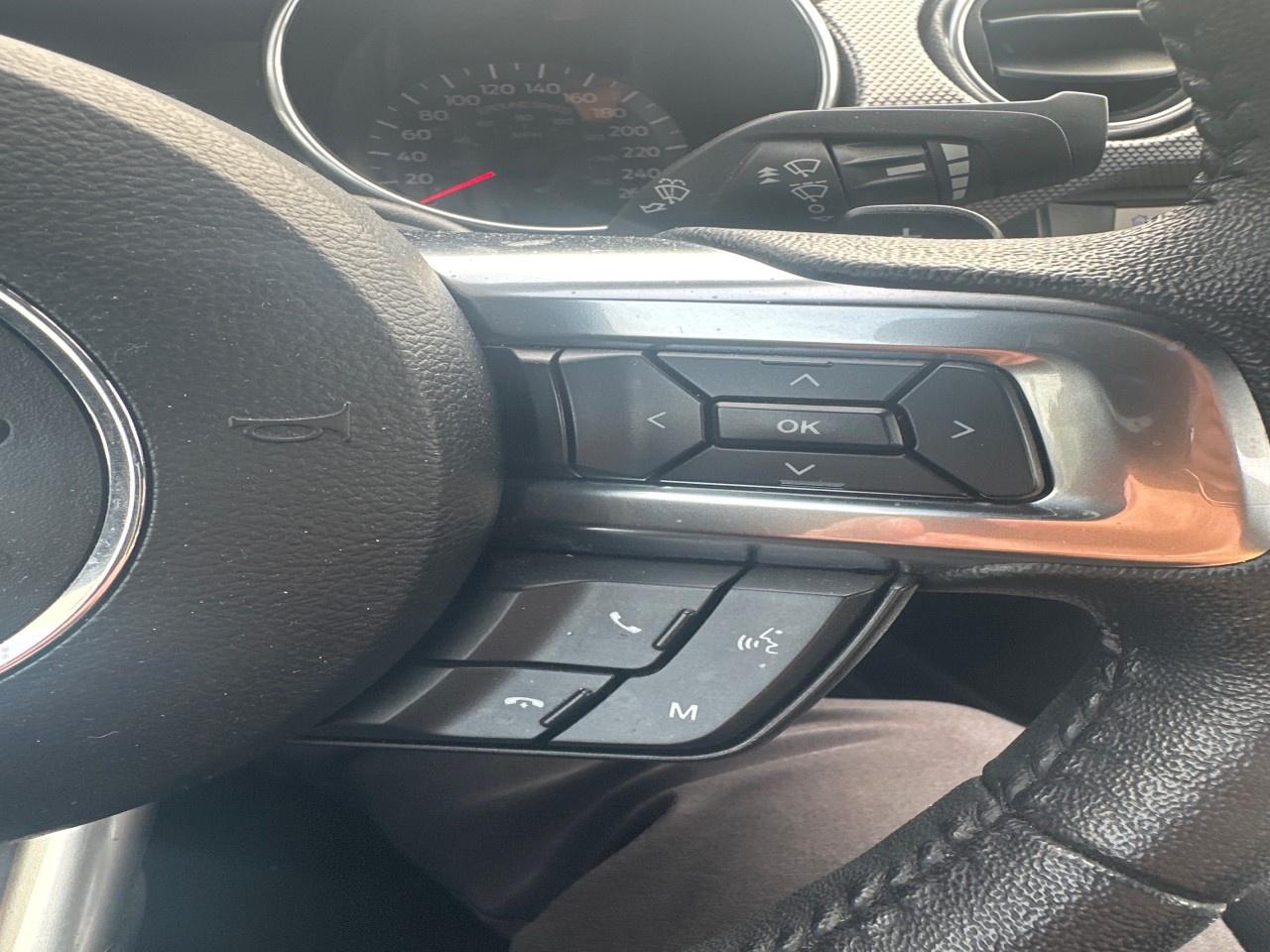 2020 Ford Mustang EcoBoost Fastback Photo