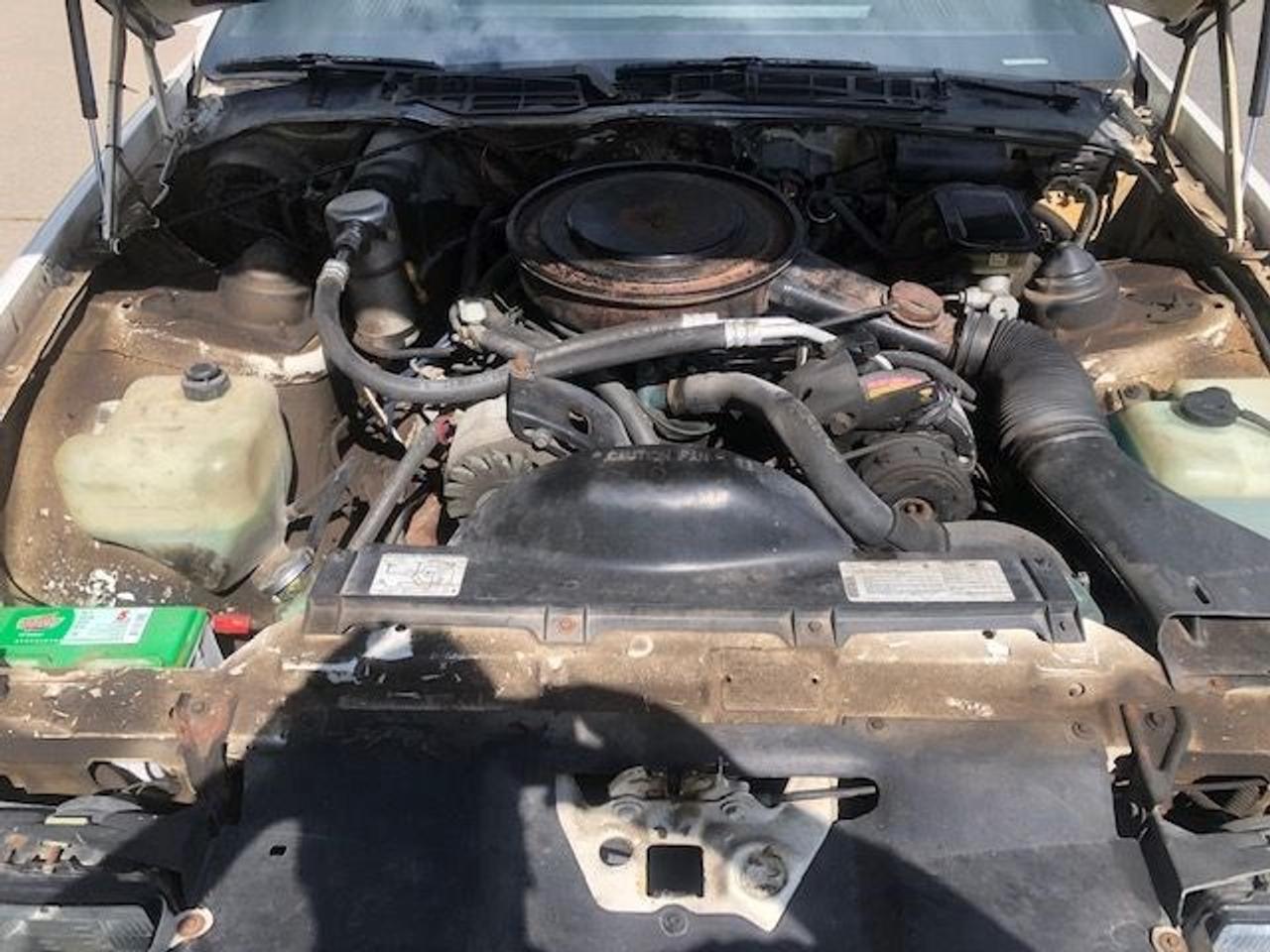 1982 Chevrolet Camaro  Photo