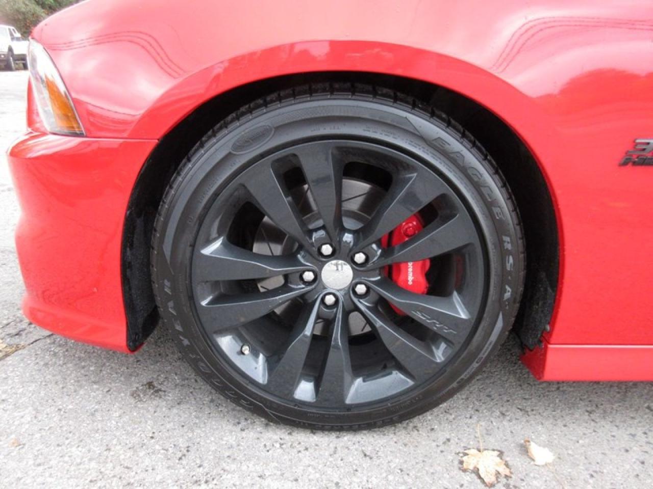 2014 Dodge Charger SRT-8 Photo