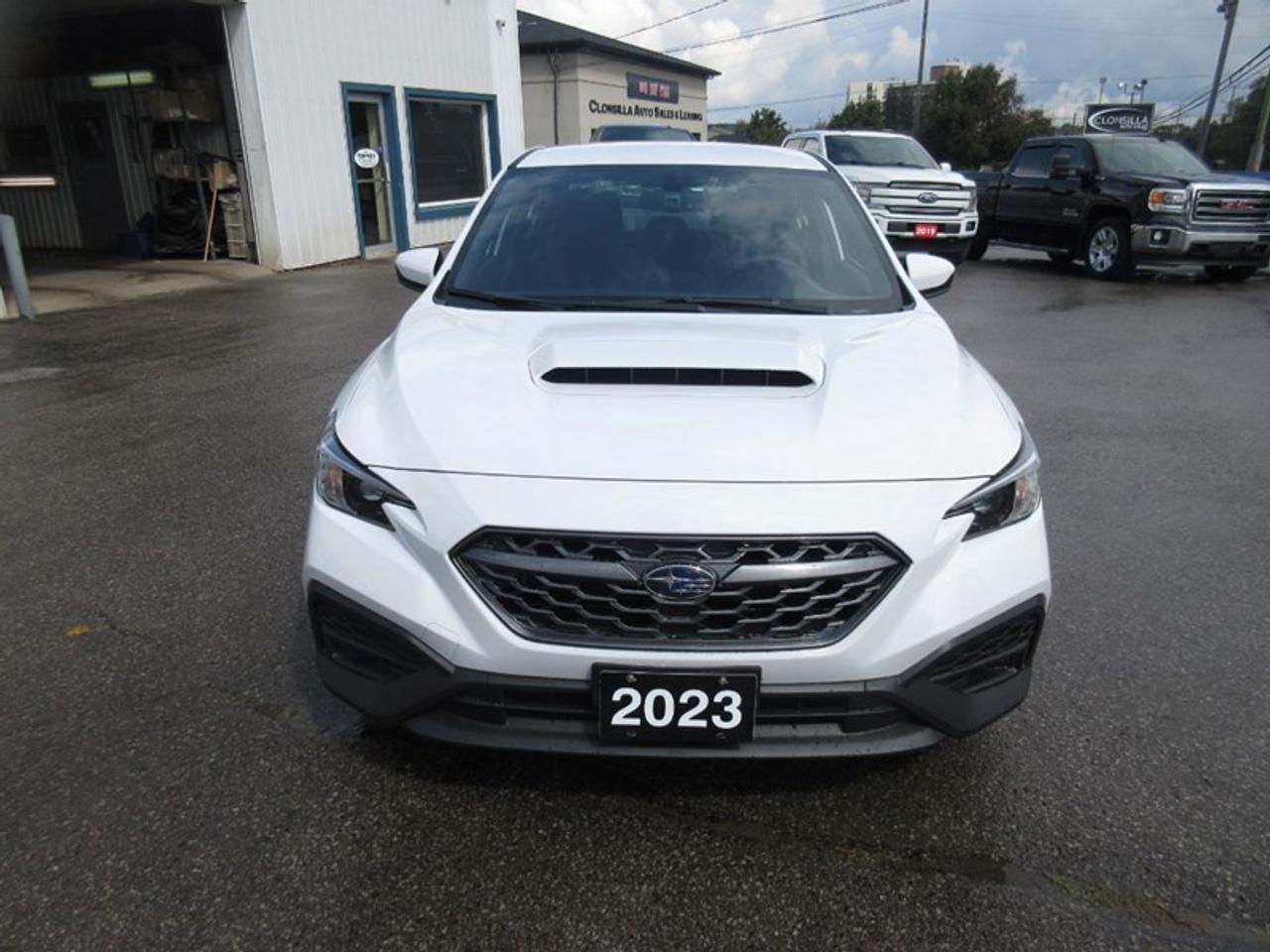 2023 Subaru WRX  Photo