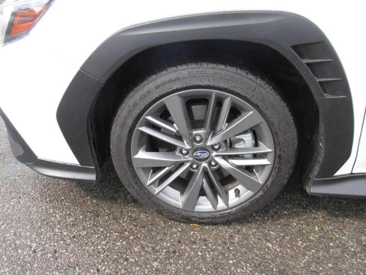 2023 Subaru WRX  Photo