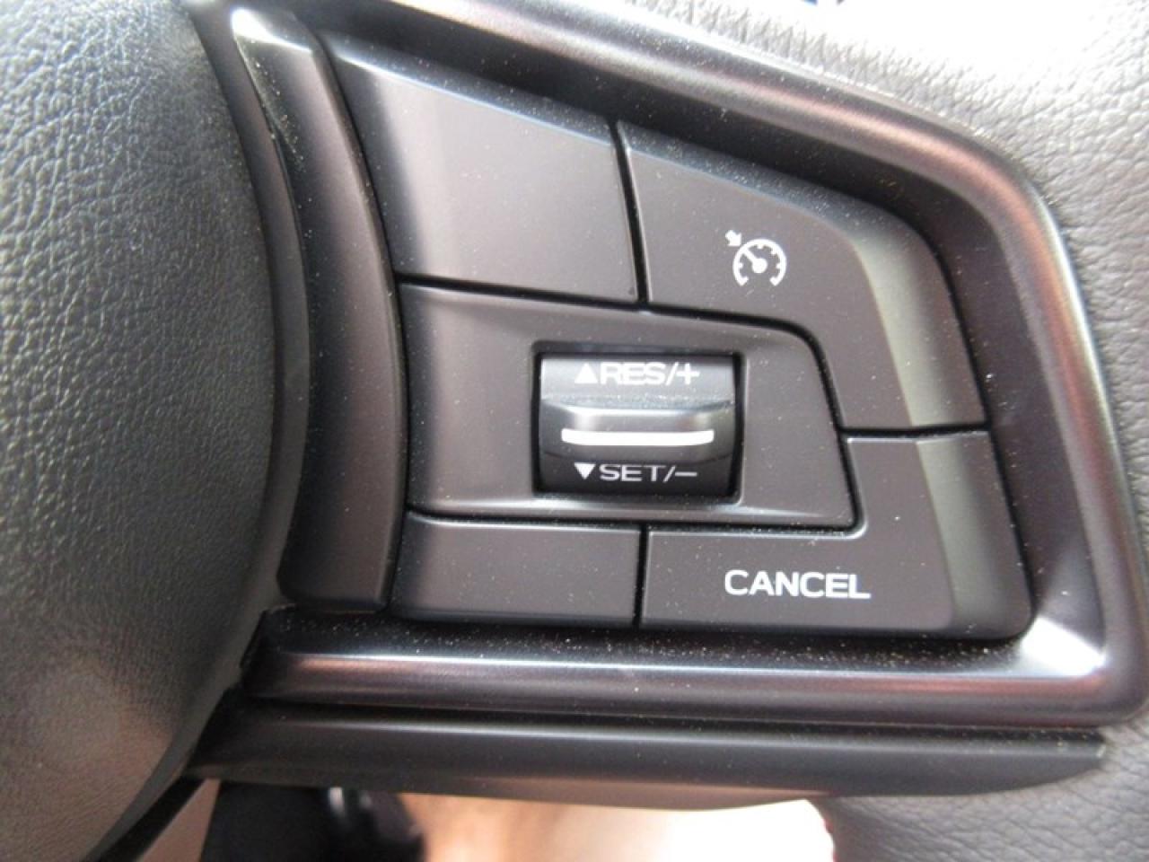 2023 Subaru WRX  Photo