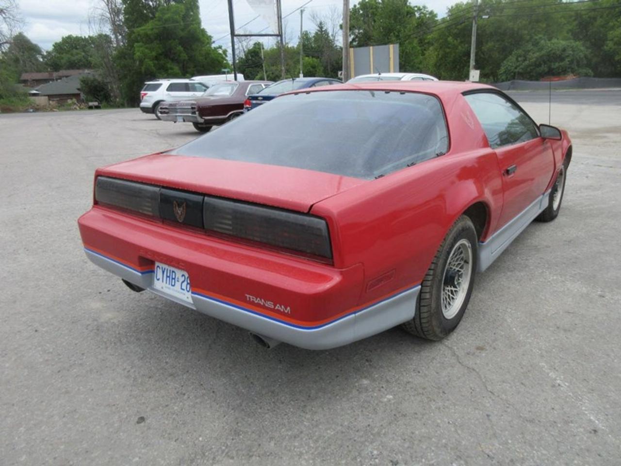 1985 Pontiac Firebird Trans Am Photo3