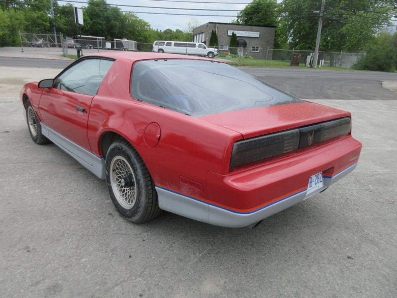 1985 Pontiac Firebird Trans Am Photo