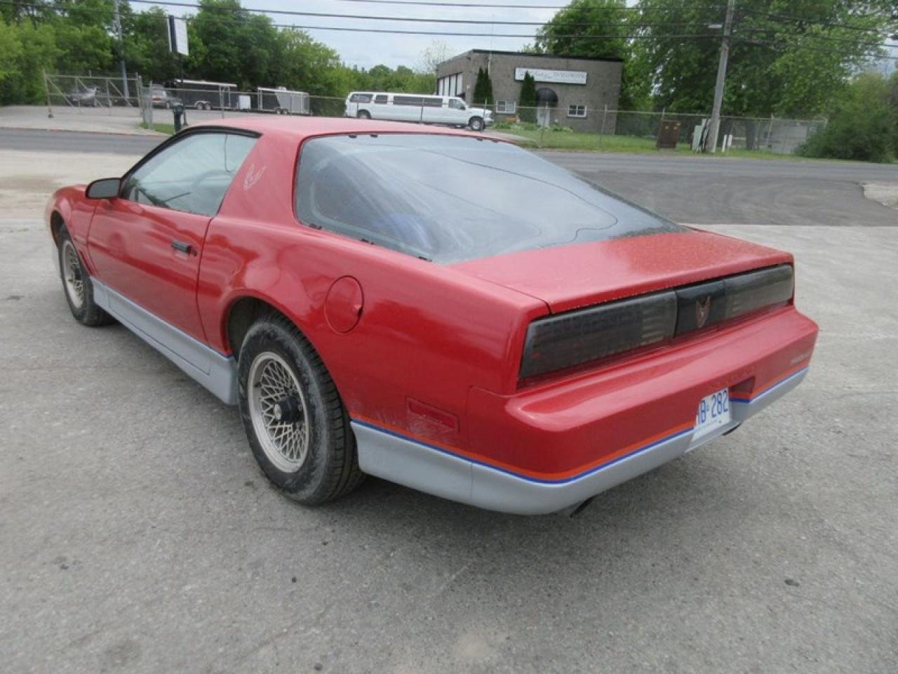 1985 Pontiac Firebird Trans Am Photo