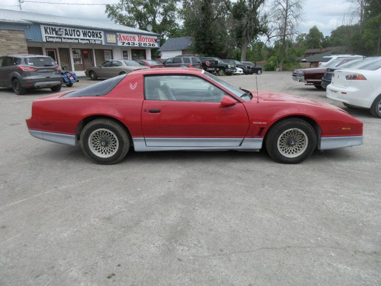 1985 Pontiac Firebird Trans Am Photo