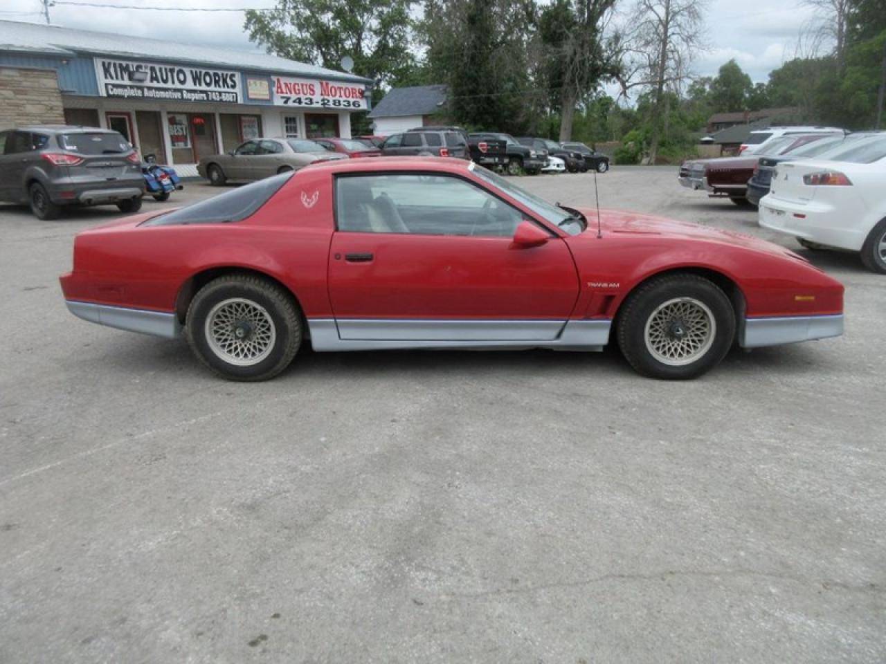 1985 Pontiac Firebird Trans Am Photo