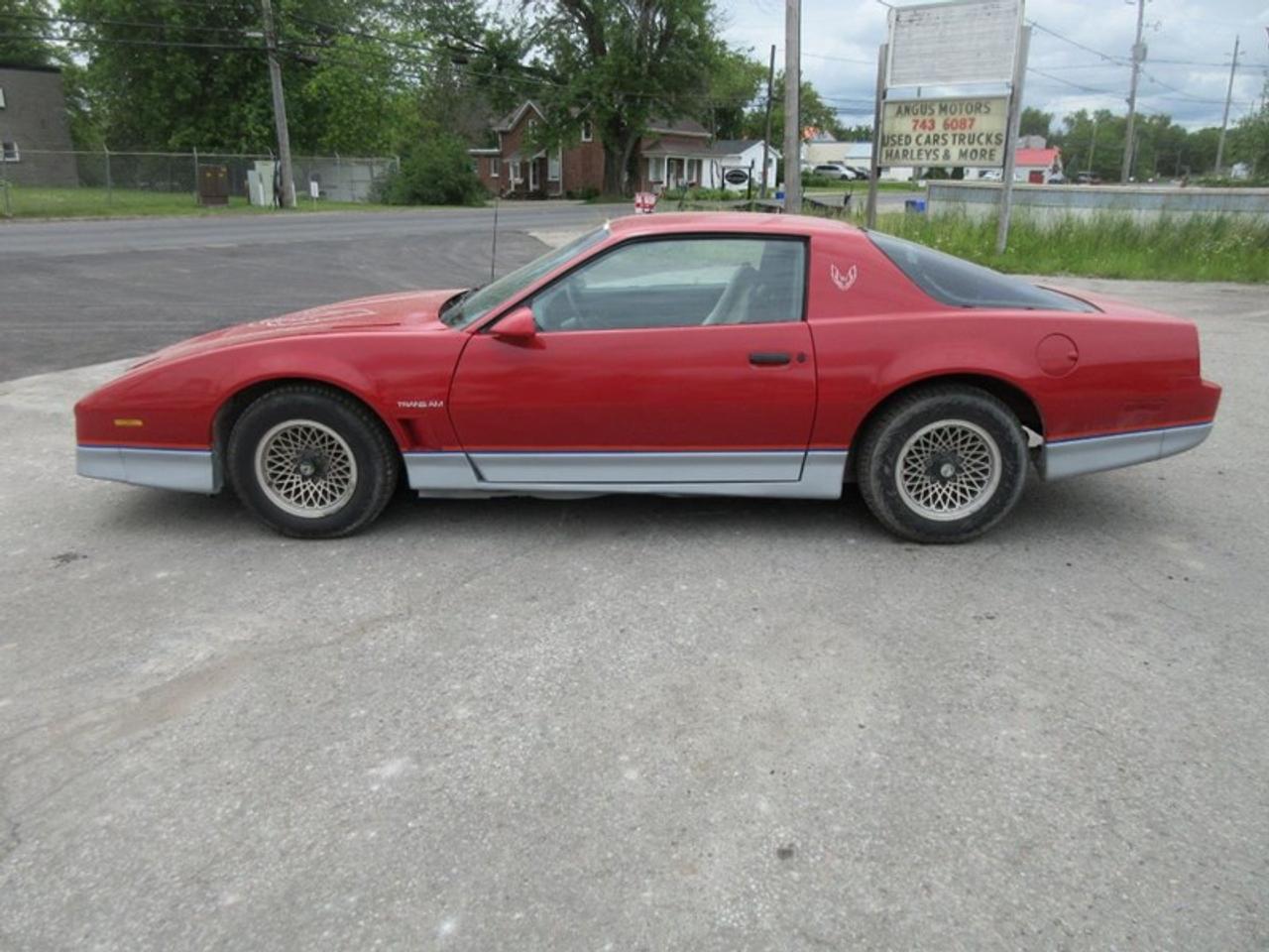 1985 Pontiac Firebird Trans Am Photo5