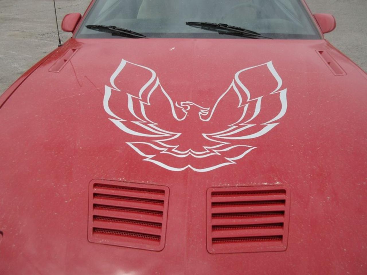 1985 Pontiac Firebird Trans Am Photo