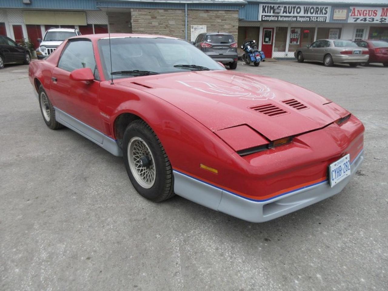 1985 Pontiac Firebird Trans Am Photo
